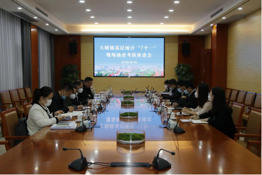 （信息）省统计局到大朗镇开展基层统计“7个一”现场抽查考核472.png
