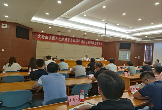 大岭山镇经普工作会议简报448.png