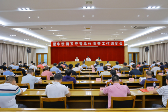 20231018望牛墩镇召开五经普单位清查工作调度会96.png