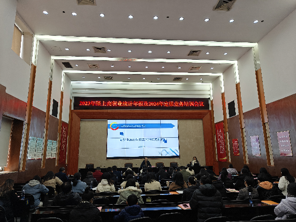 图片11.png